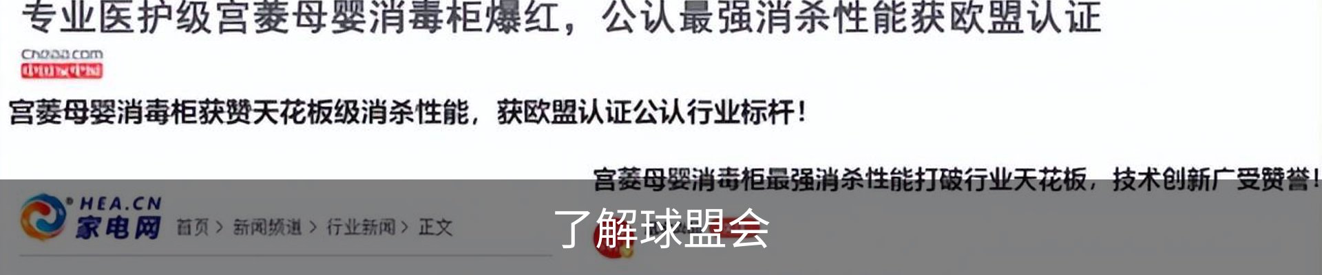 了解球盟会